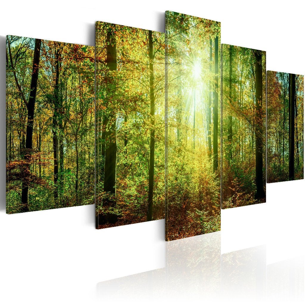 854 Bomen Bos Natuur 5 Luik Canvas Schilderij 200x100 Nieuw, Antiek en Kunst, Ophalen of Verzenden, Landschap