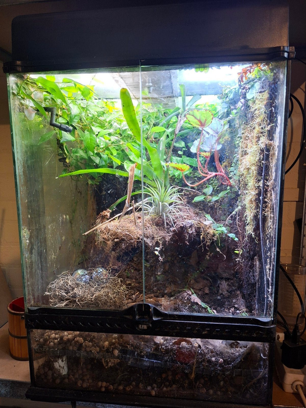 Paludarium ExoTerra, Dieren en Toebehoren, Ophalen, Zo goed als nieuw, Terrarium of Paludarium