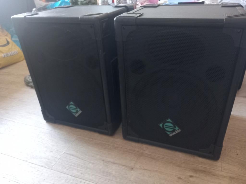 General music Lps 15 pa speakers ( set van 2 ), Muziek en Instrumenten, Ophalen of Verzenden, Gebruikt, Minder dan 500 watt