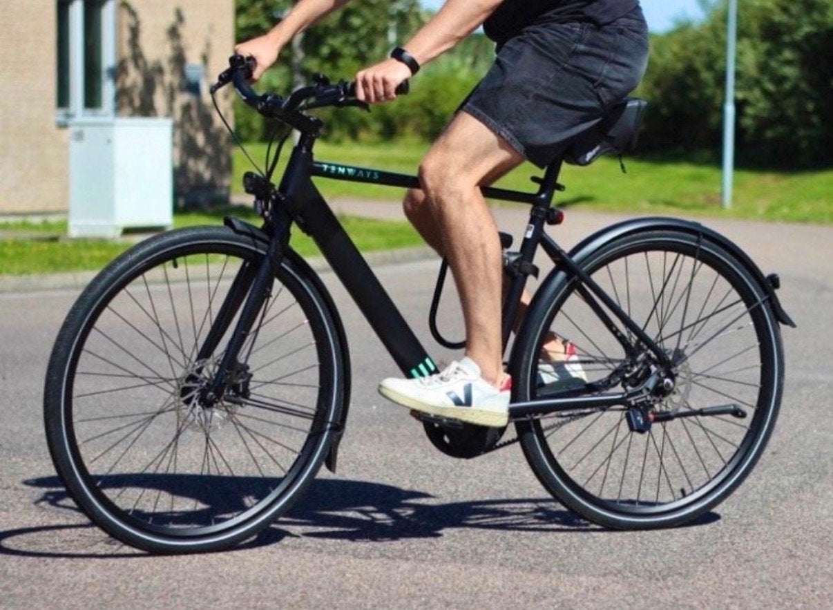 TENWAYS CGO600 – Stijlvolle elektrische stadsfiets, Ophalen, Zo goed als nieuw, Overige merken