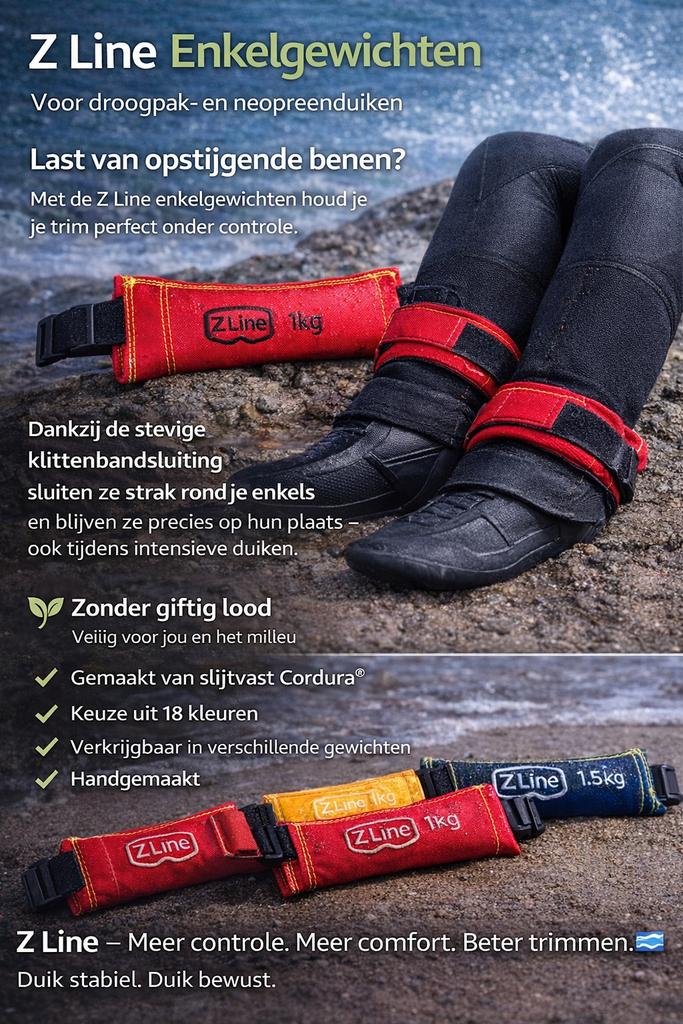 Z Line ballast, Watersport en Boten, 6214xj, Nieuw, Ophalen of Verzenden, Lood of Loodgordel