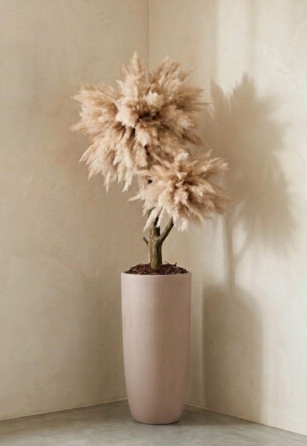 Pampas boom in taupe kleurige pot| hotel chique| japandi, Binnen, Natuurlijk materiaal, Handgemaakt, 160 cm