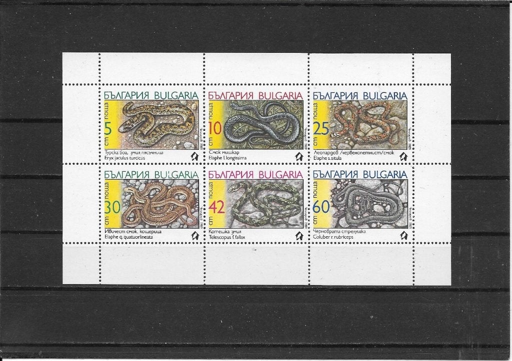 Bulgarije slangen, Ophalen of Verzenden, Bulgarije, Postfris