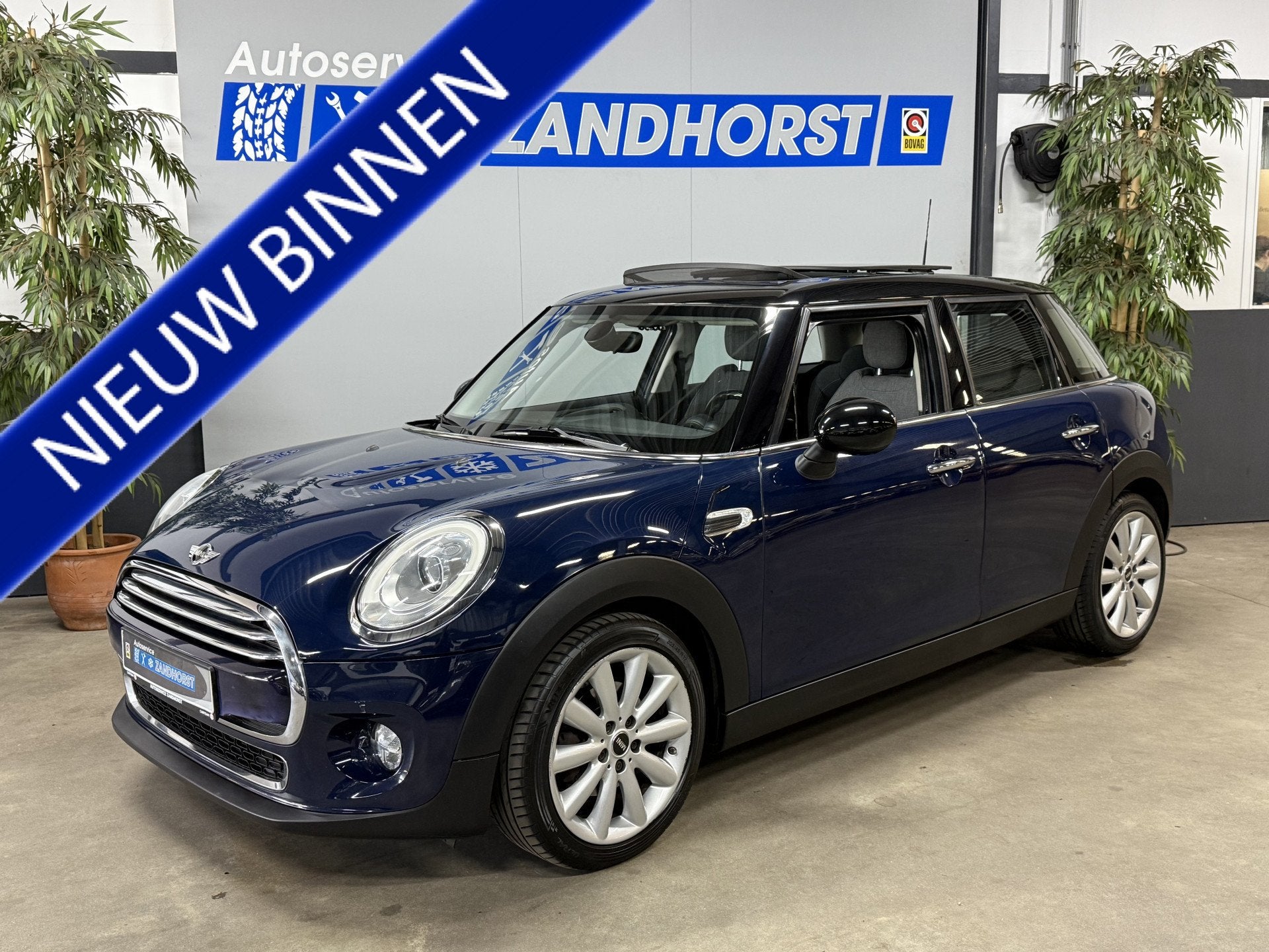 MINI 5-deurs 1.5 Cooper Business Led koplampen // Panodak, 136 pk, Gebruikt, Euro 6, Blauw