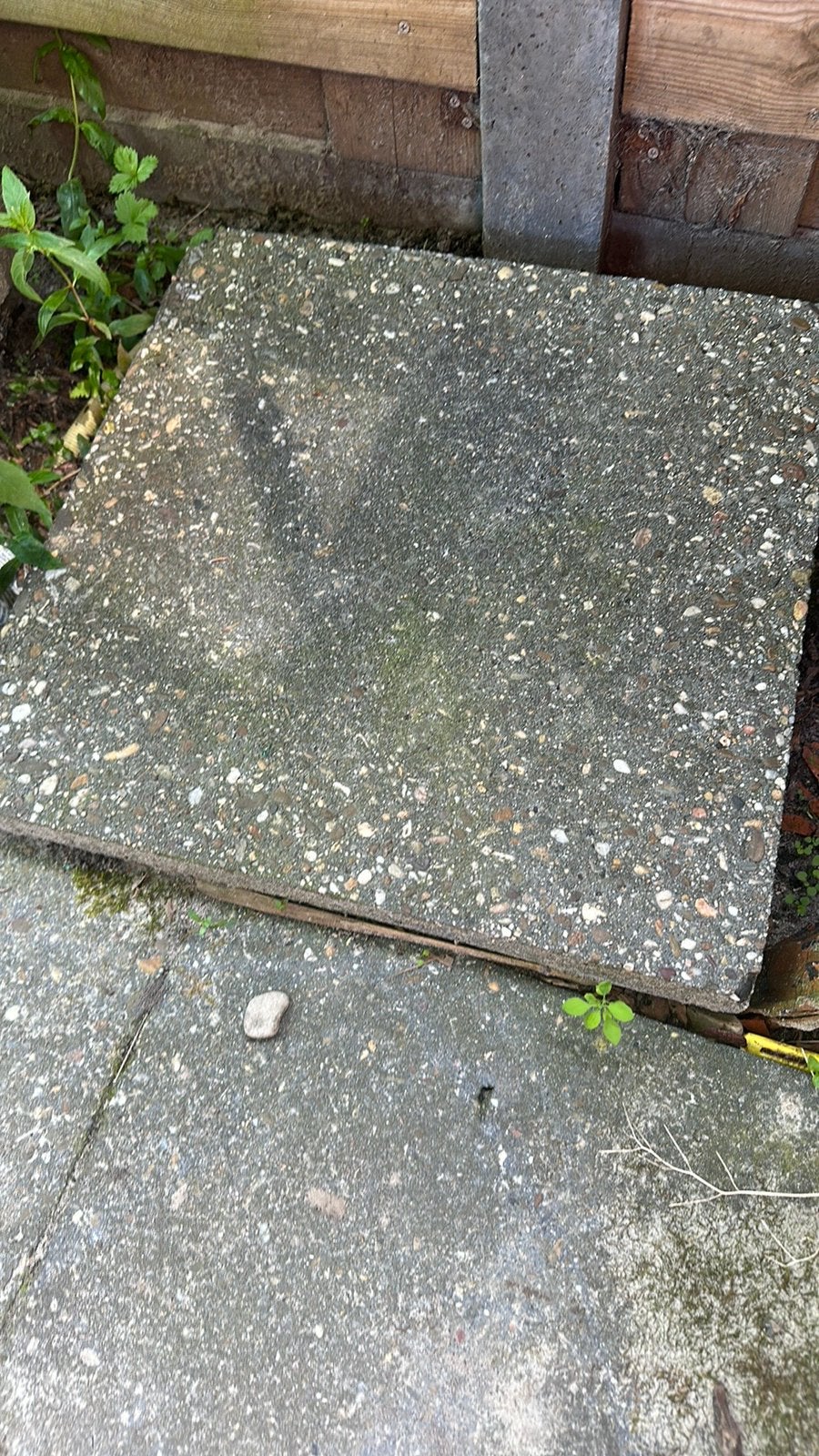 Gratis af te halen: Betontegels 50x50x4,5cm, Ophalen, Gebruikt, Overige typen, 10 m² of meer