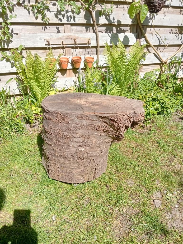 Unieke bijzettafel van stronk van prunus, Ophalen, Rond, Minder dan 55 cm, 45 tot 60 cm