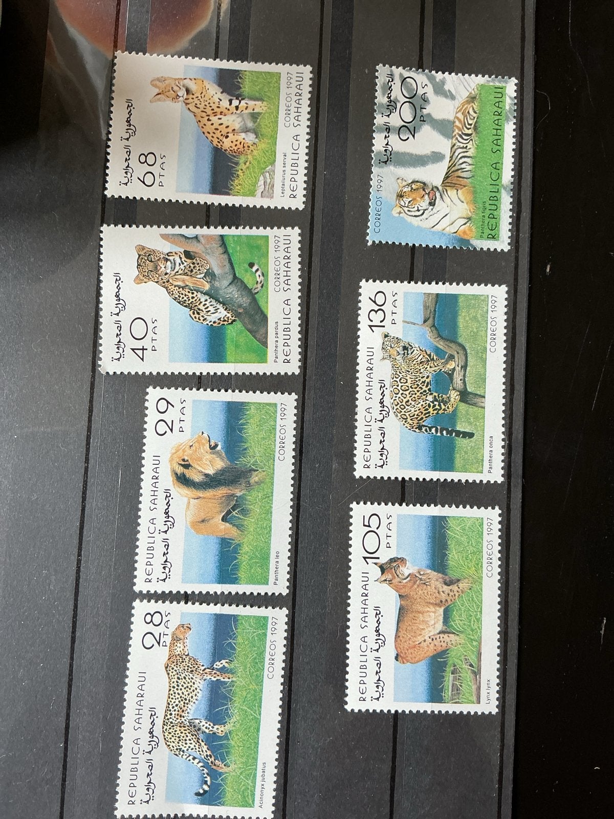 Saharaoui postzegels 1997 - Grote katten serie, Ophalen of Verzenden, Postfris, Dier of Natuur