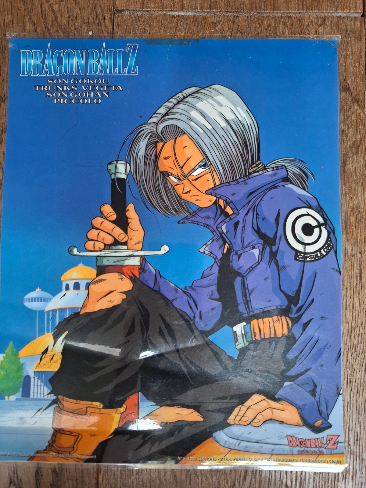 Dragon Ball Z/GT Posters - Dragonball vintage laminated, Verzamelen, Posters, Ophalen of Verzenden, Gebruikt, Overige onderwerpen