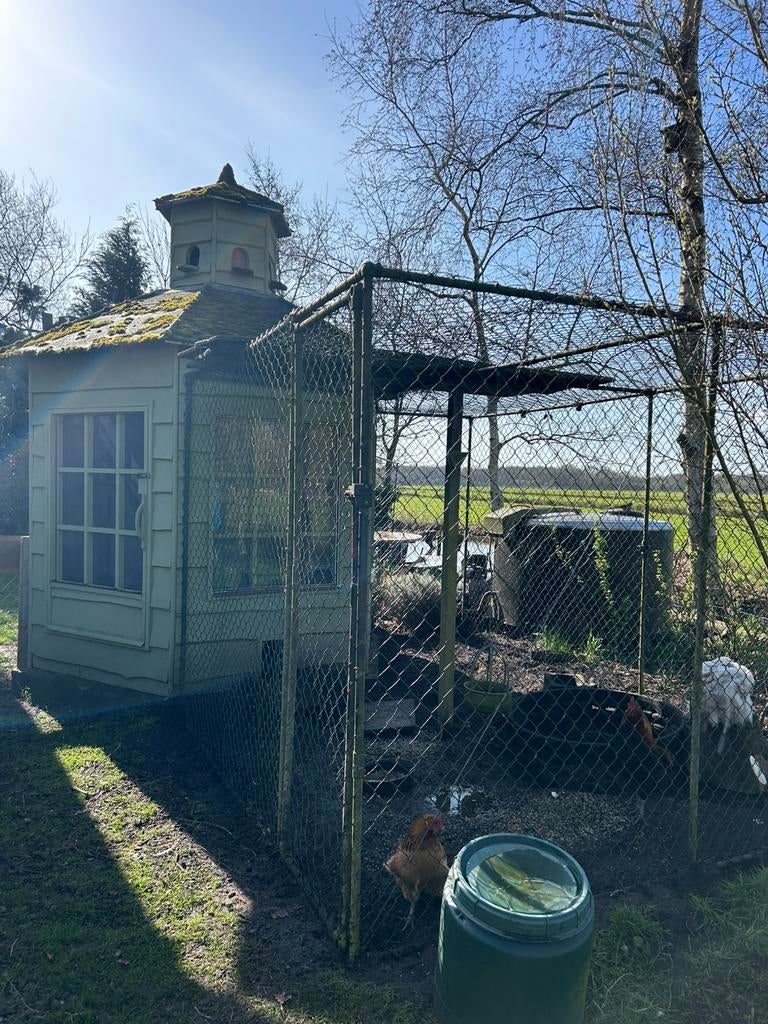 Groot kippen hok met ren, Dieren en Toebehoren, Ophalen of Verzenden, Zo goed als nieuw, Kippenhok of Kippenren