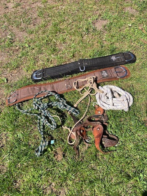 western touw halster, leadrope, sporen, Dieren en Toebehoren, Ophalen of Verzenden, Zo goed als nieuw, Western
