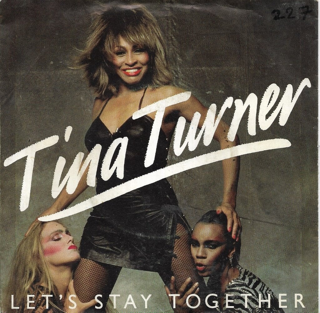 Tina Turner-Lets stay together, Gebruikt, 7 inch, Pop, Fotohoes