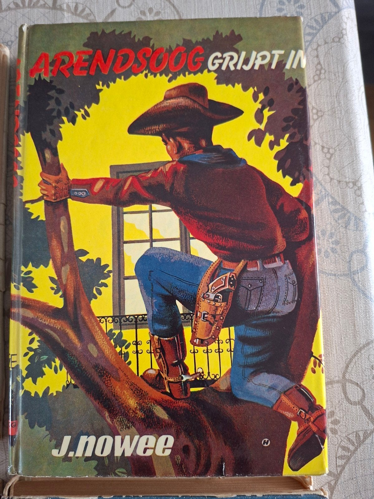 Arends Oog Grijpt In - J. Nowee (Jeugdboek), Boeken, Avontuur en Actie, Ophalen of Verzenden, Gelezen