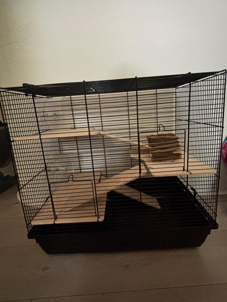 Hamsterkooi, Minder dan 60 cm, Kooi, Minder dan 75 cm, Ophalen of Verzenden