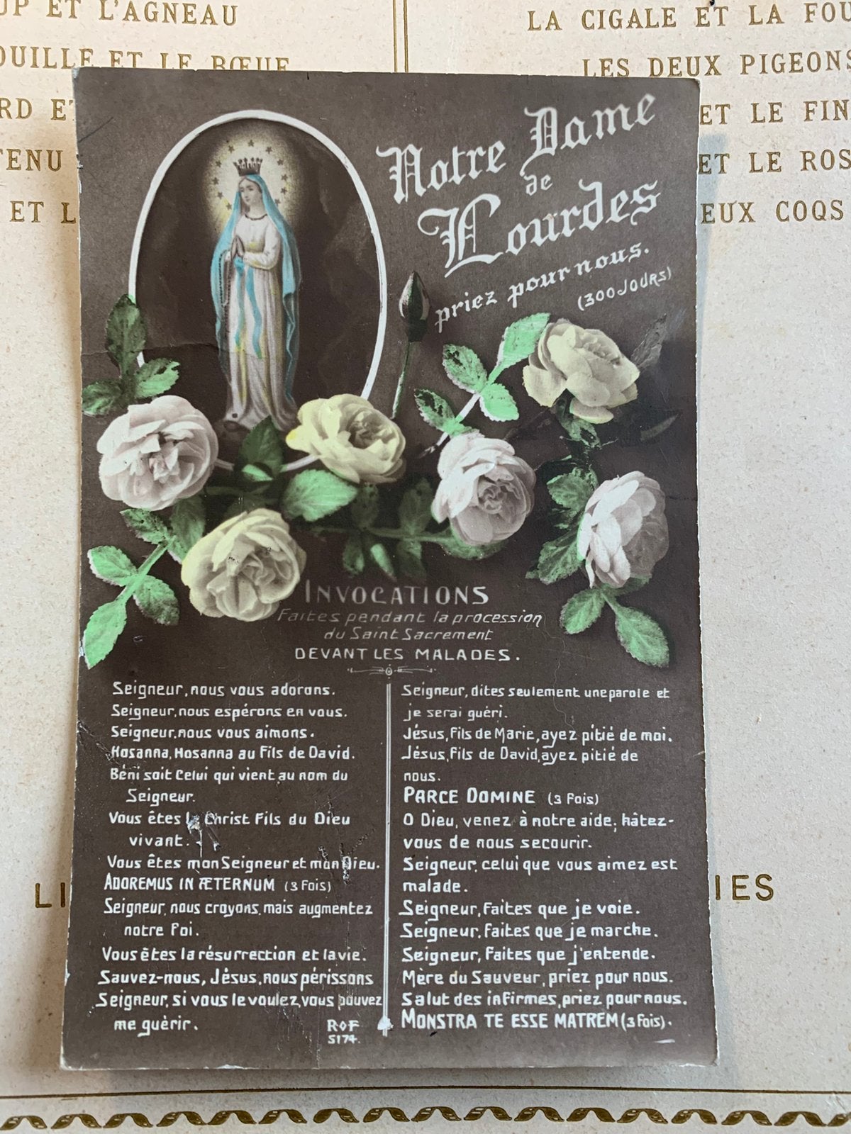 Religie - Notre Dame de Lourdes (ME), Ophalen of Verzenden, Voor 1920, Gelopen, Overige thema's