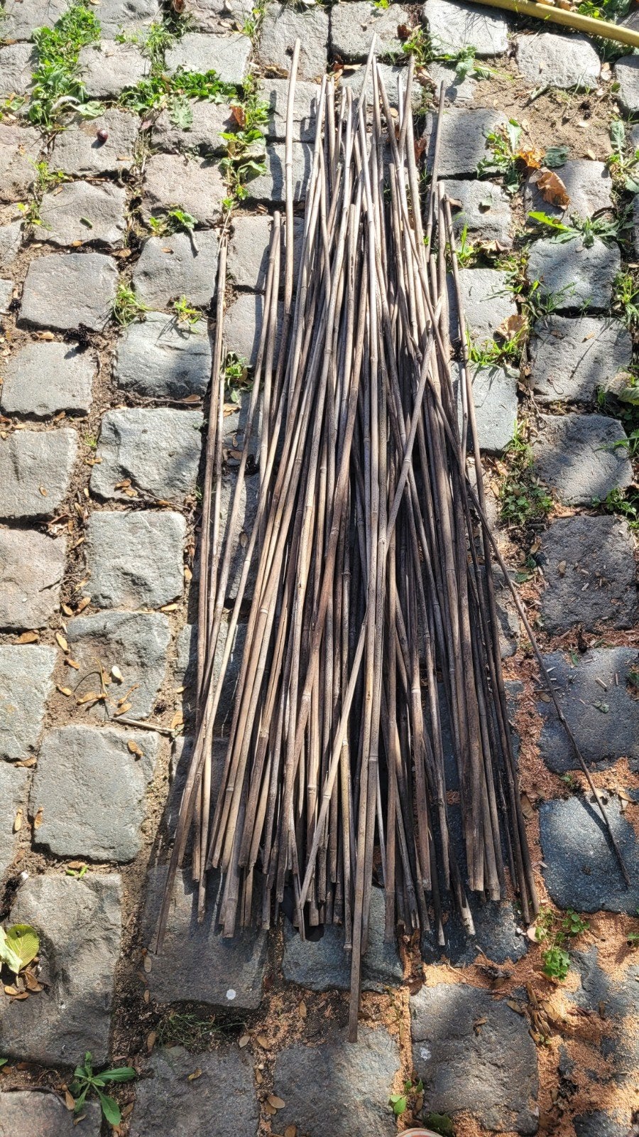 Bamboestokken (60+ stuks, 100-150 cm), Ophalen
