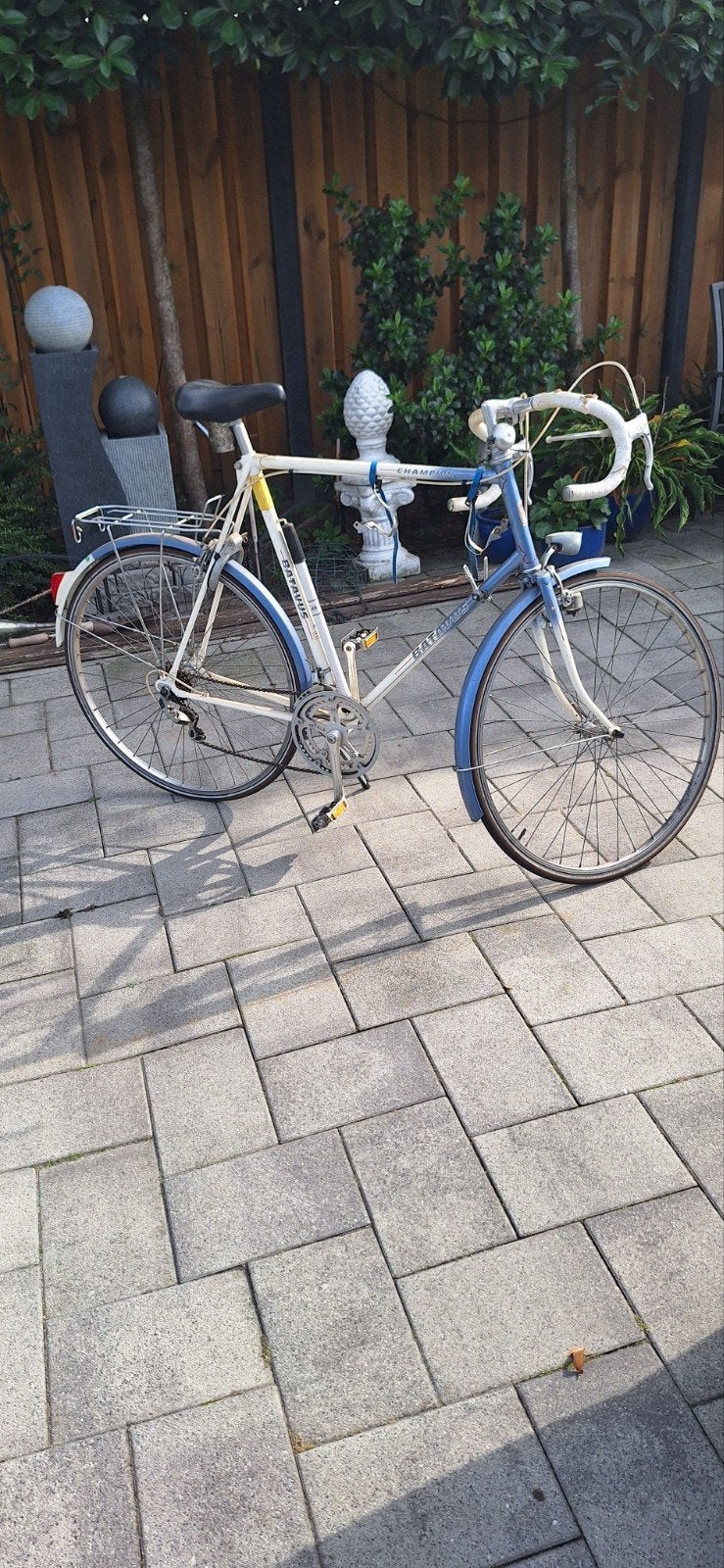 Foto 3 van Vintage Gazelle Champion Mondial racefiets