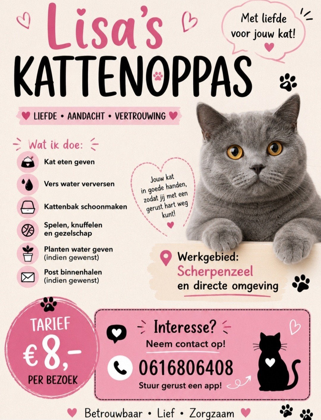 katten oppas, Dieren en Toebehoren, Dierenvoeding, Ophalen of Verzenden, Kat