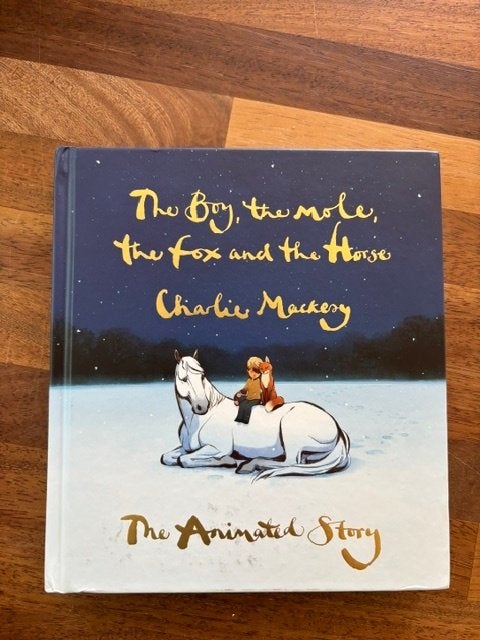 The Boy, The Mole, The Fox and The Horse – Charlie Mackesy, Ophalen of Verzenden, Zo goed als nieuw, Charlie Mackesy