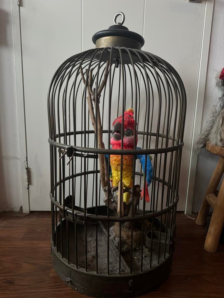 Grote papegaaien kooi antiek, Ophalen, Zo goed als nieuw, Metaal, Vogelkooi