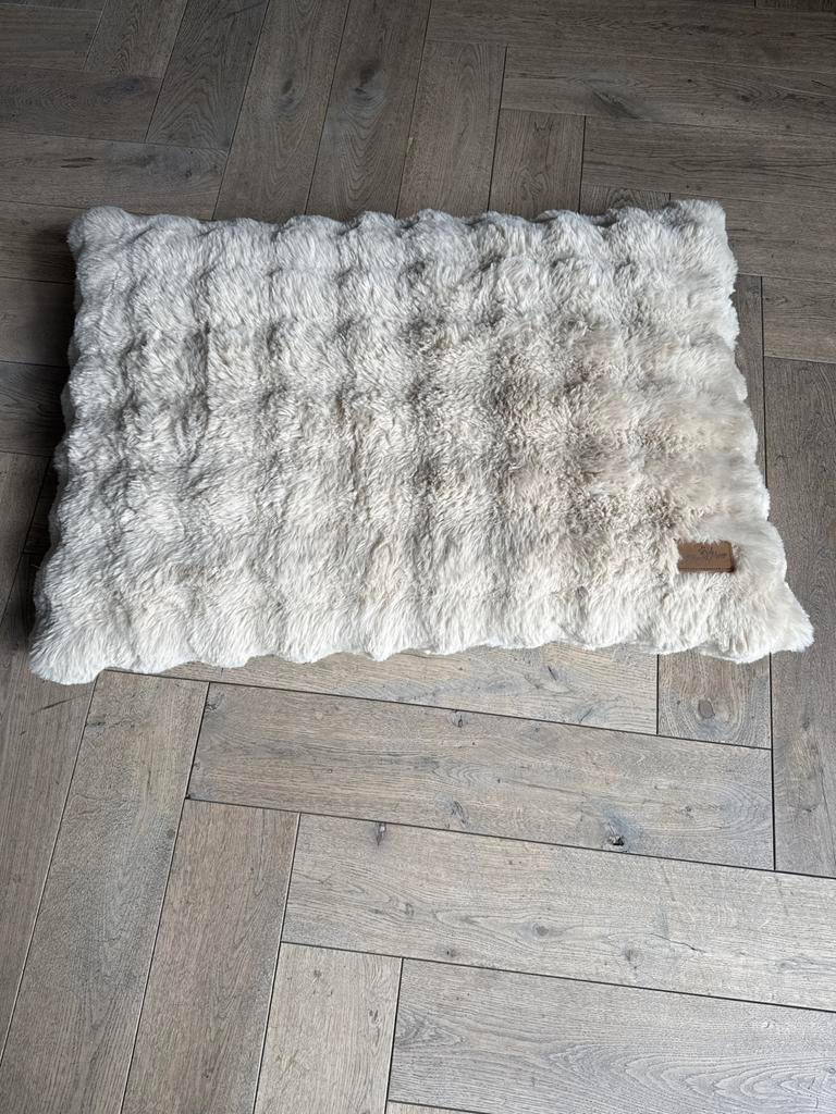 Nieuw Hondenkussen - 90x60 cm - merk Bingo Paw, Dieren en Toebehoren, Hondenmanden, Ophalen, Nieuw, Pluche
