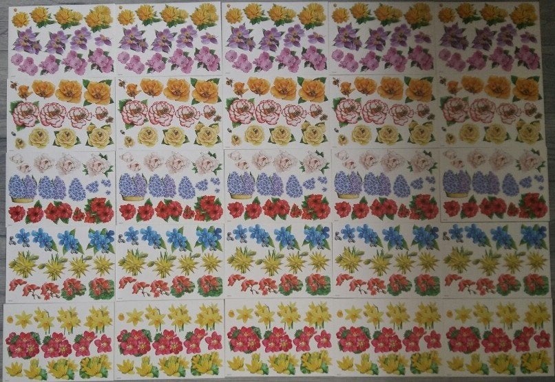 Kaarten Maken Knipvellen Bloemen 25 Vellen (NIEUW), Ophalen of Verzenden, Nieuw, Natuur, Knipvel