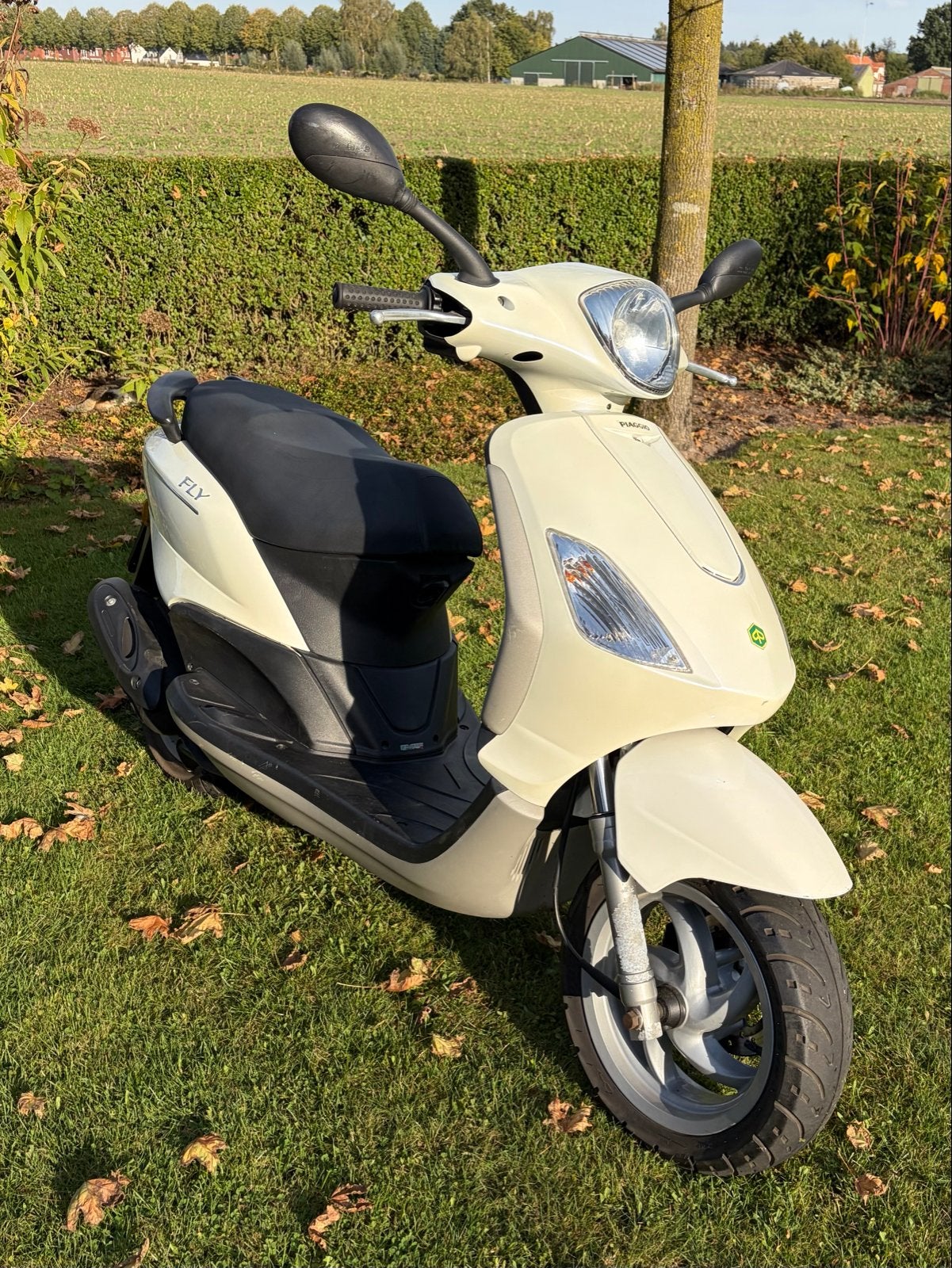 Piaggio Fly Scooter, Ophalen, Gebruikt, Maximaal 45 km/u, Fly