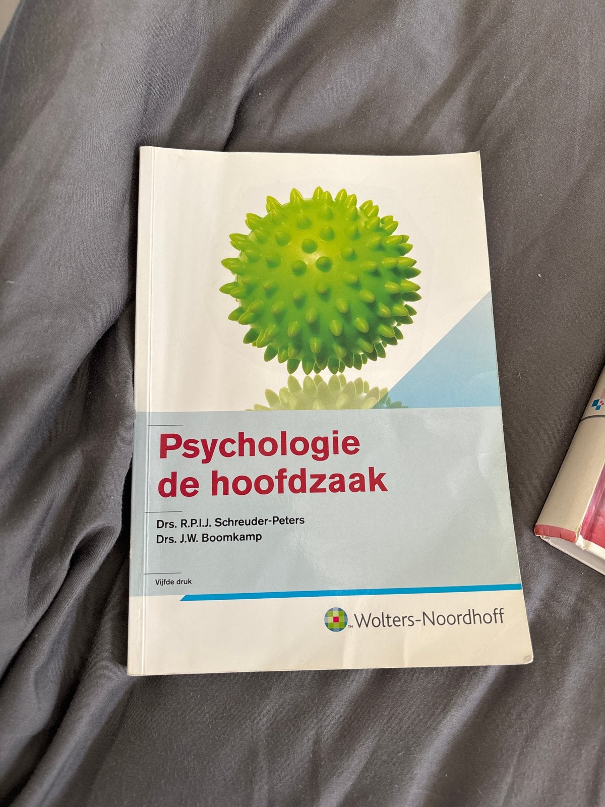 Psychologie de hoofdzaak - Drs. Schreuder-Peters & Boomkamp, Ophalen of Verzenden, Gelezen, Overige onderwerpen