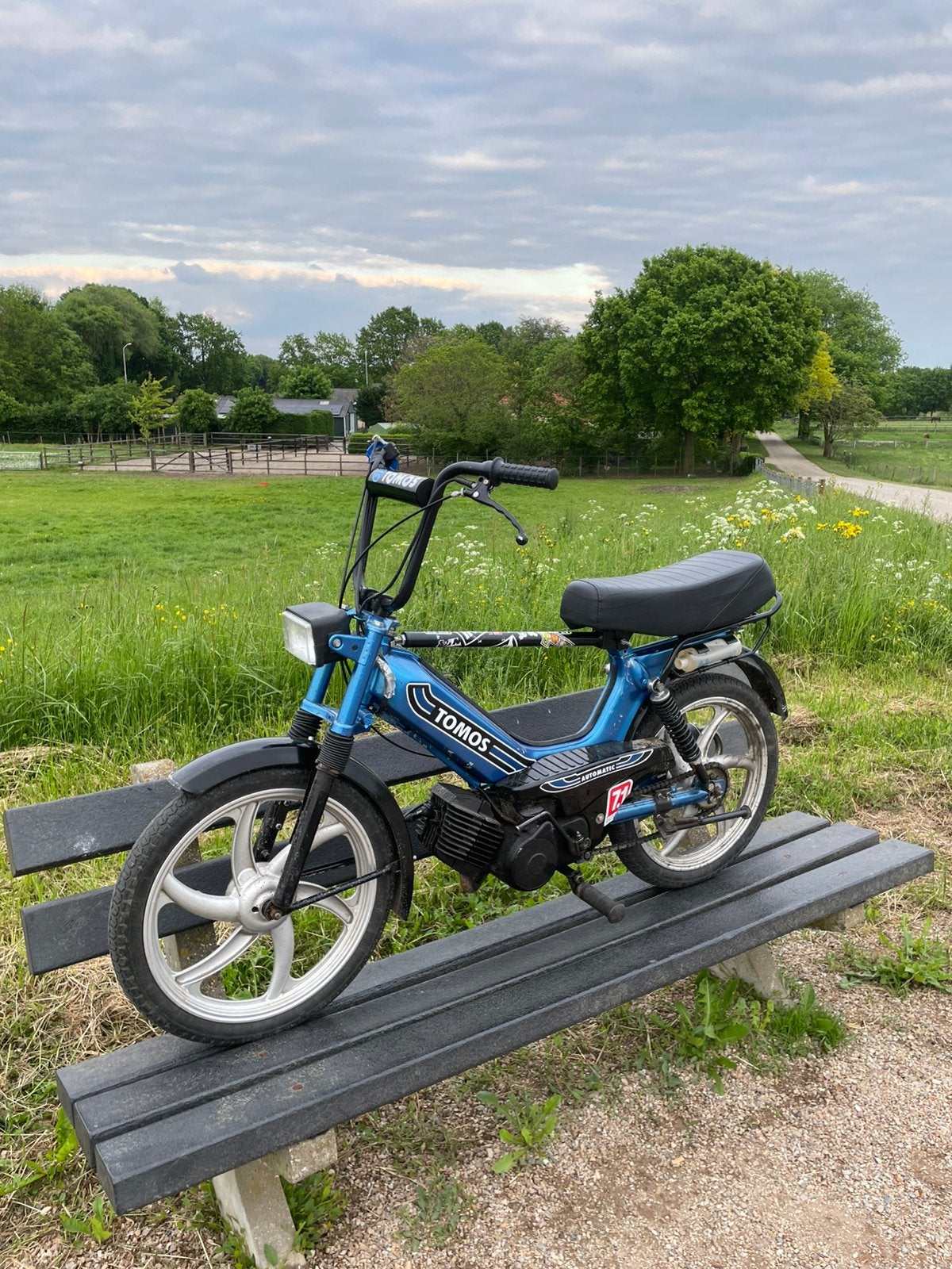 Tomos, Fietsen en Brommers, Brommers | Tomos, Ophalen, Gebruikt, 50 cc, Standard