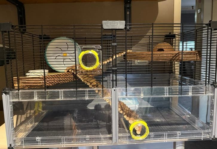 Ferplast multipla hamsterkooi, Kooi, Gebruikt, Minder dan 75 cm, Muis