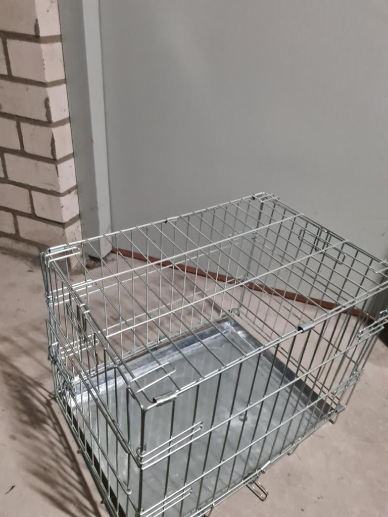 Kleine honden banche, Ophalen