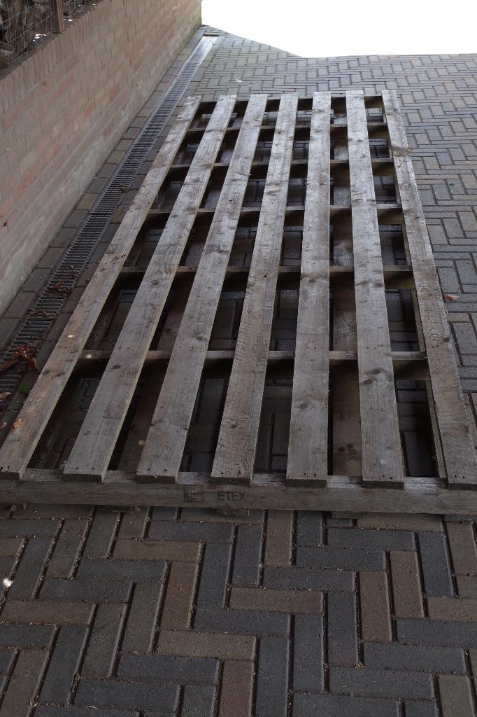 Pallet 362 x 116 cm, Doe-het-zelf en Verbouw, Ophalen, Gebruikt, 100 cm of meer, 60 cm of meer