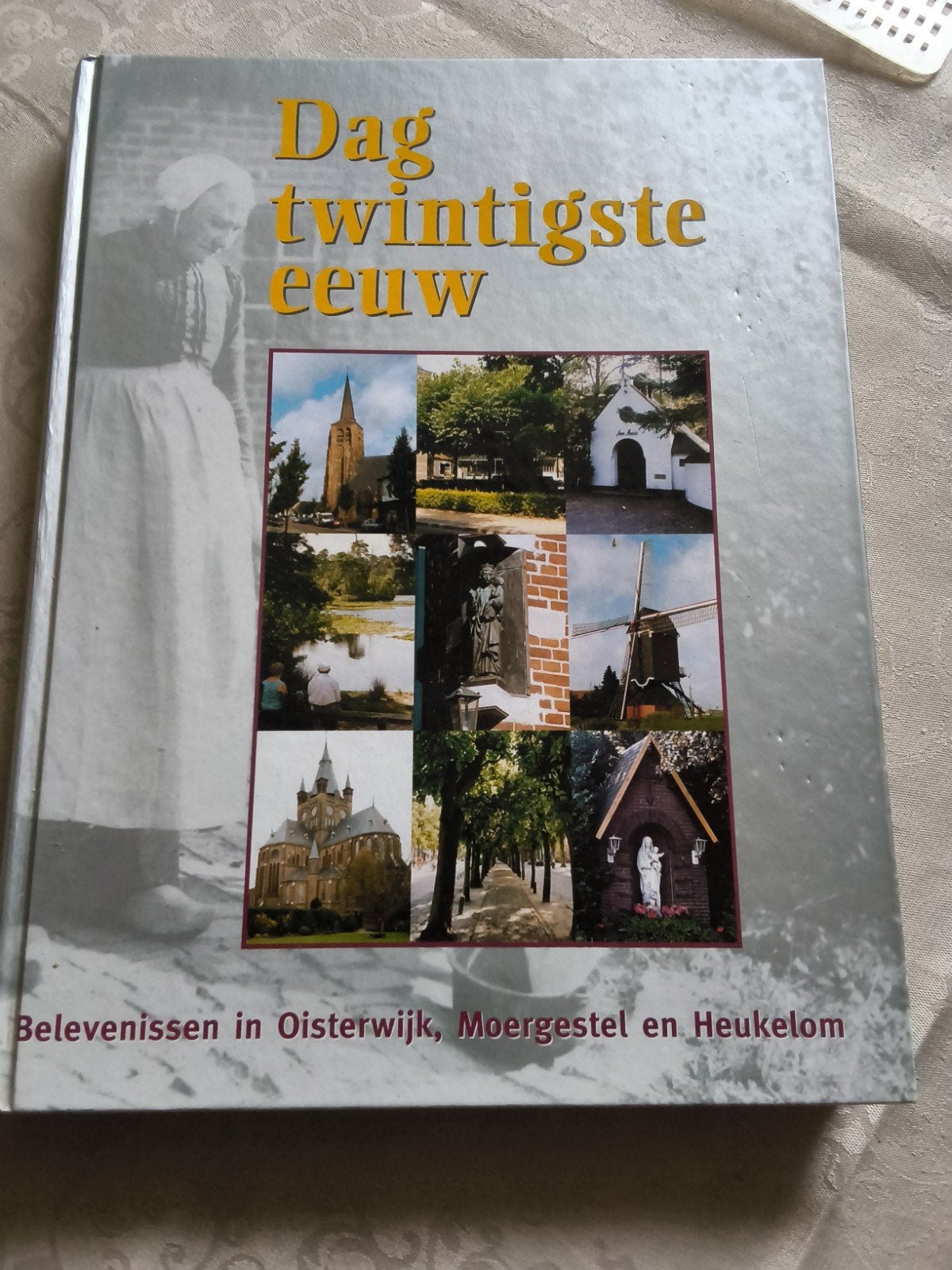 Dag twintigste eeuw: Belevenissen in Oisterwijk, Moergestel, Boeken, Europa, Ophalen of Verzenden, Zo goed als nieuw, 20e eeuw of later