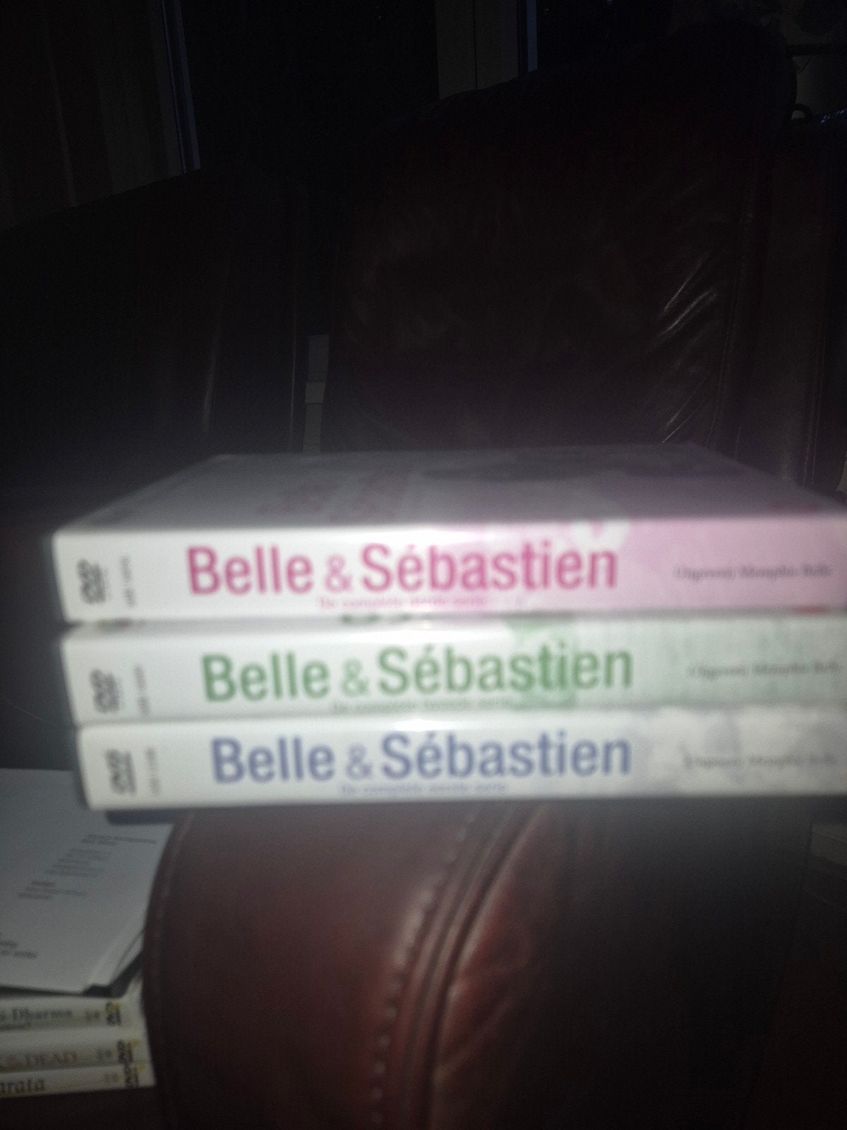 Belle& sebastien serie 1,2,3, Ophalen of Verzenden, Zo goed als nieuw, Drama