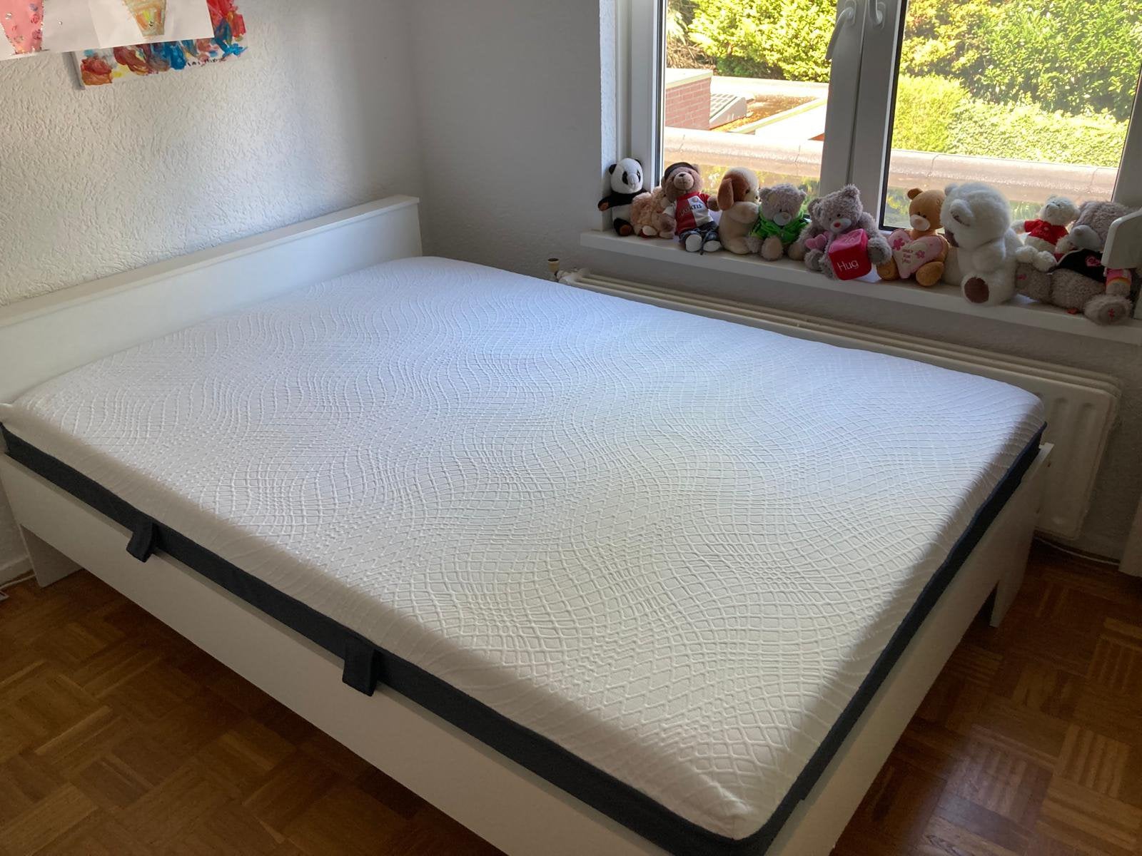 Prachtige twijfelaar te koop, Ophalen, Gebruikt, 140 cm, Twijfelaar