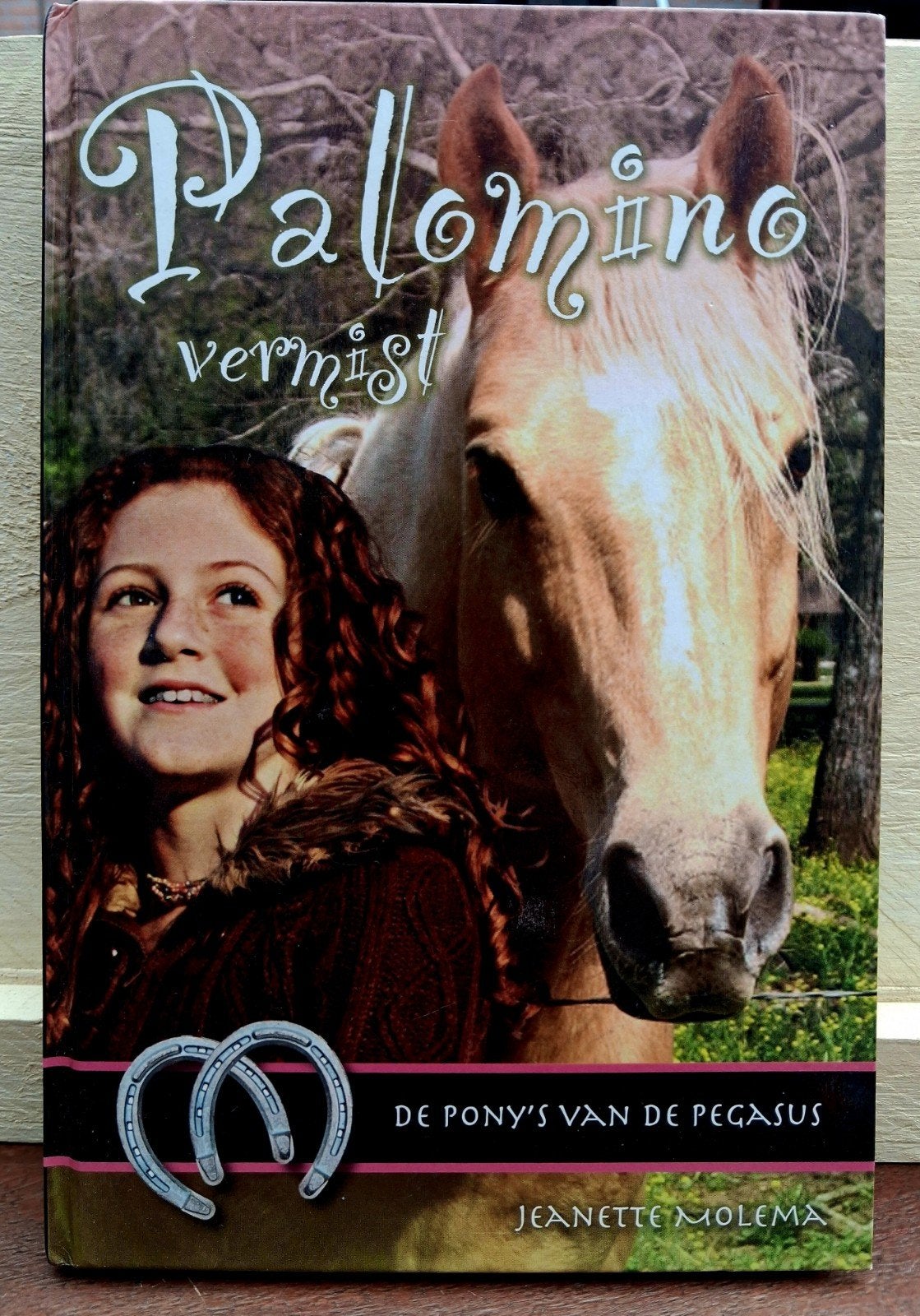 Palomino vermist - De pony's van de Pegasus deel 4, Ophalen of Verzenden, Gelezen, Jeanette Molema, Fictie algemeen
