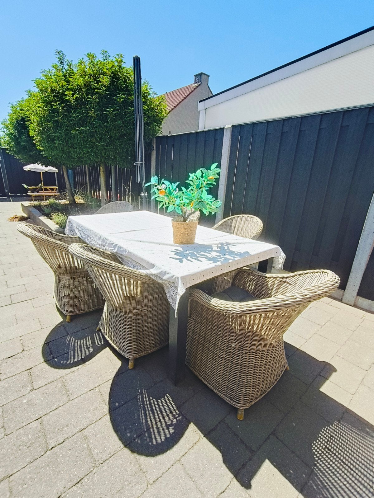 Mooie en degelijke rotan tuinstoelen, Tuin en Terras, Ophalen, Gebruikt, Rotan