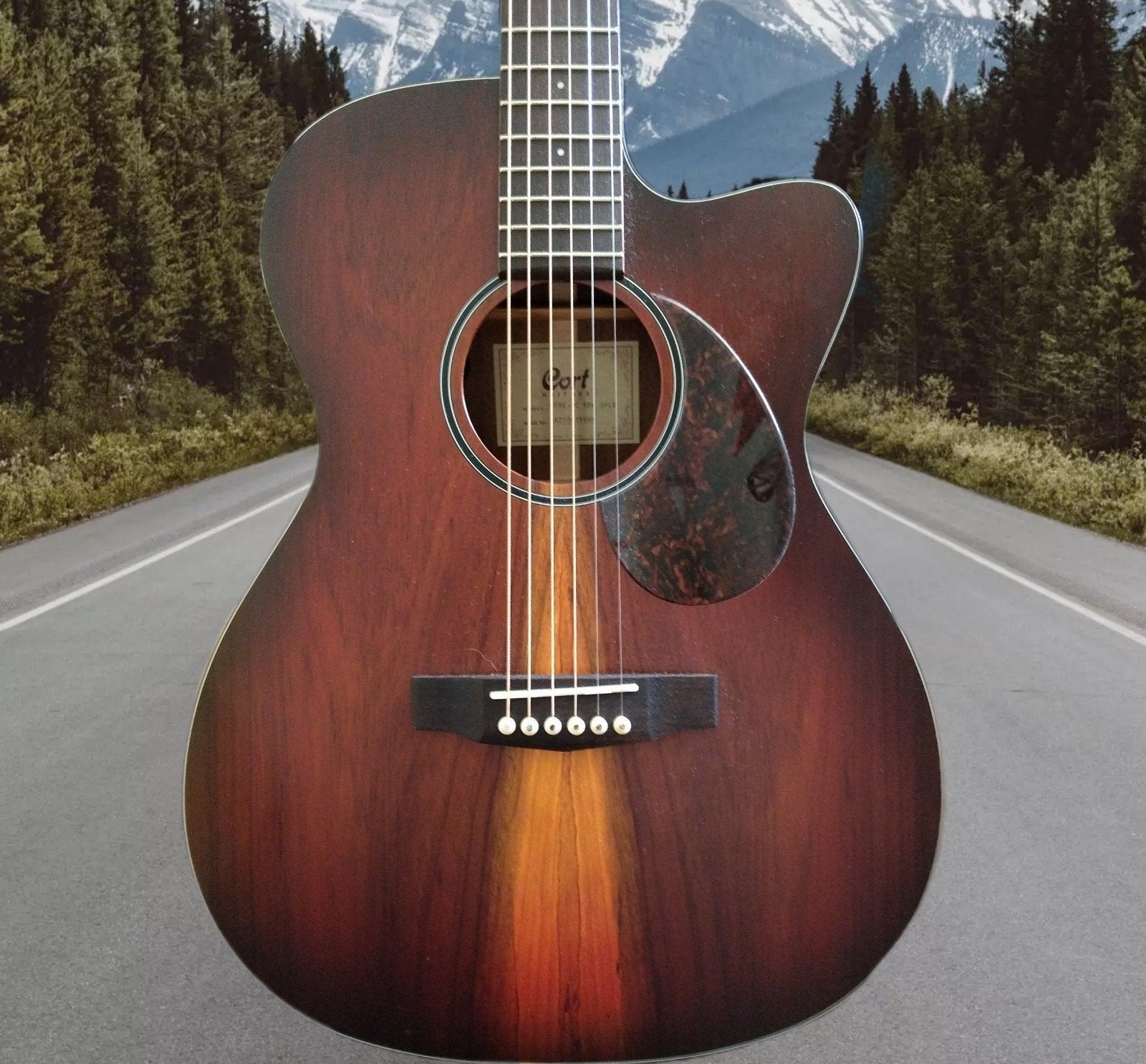 Cort Core OC all solid Blackwood met element, Ophalen, Zo goed als nieuw, Western- of Steelstringgitaar