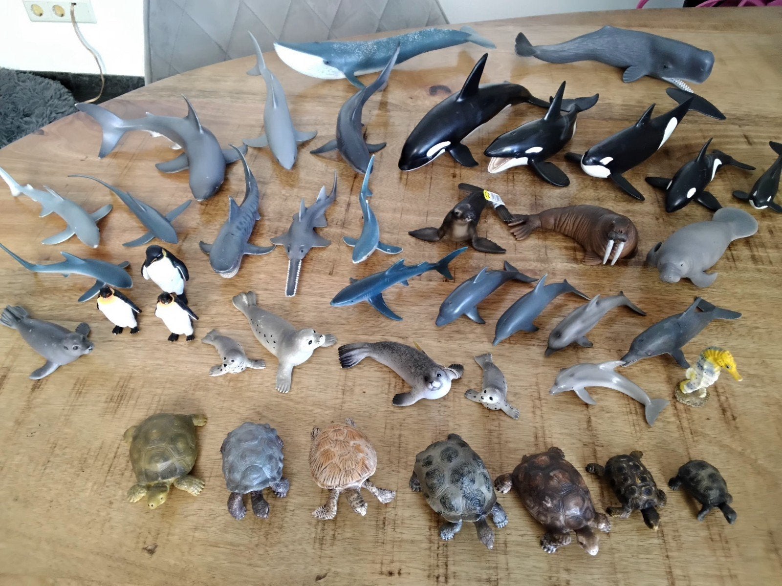 Schleich zeedieren, haai, dolfijn, schlidpad, zeehond, Verzamelen, Ophalen of Verzenden, Zo goed als nieuw, Paard, Beeldje of Figuurtje
