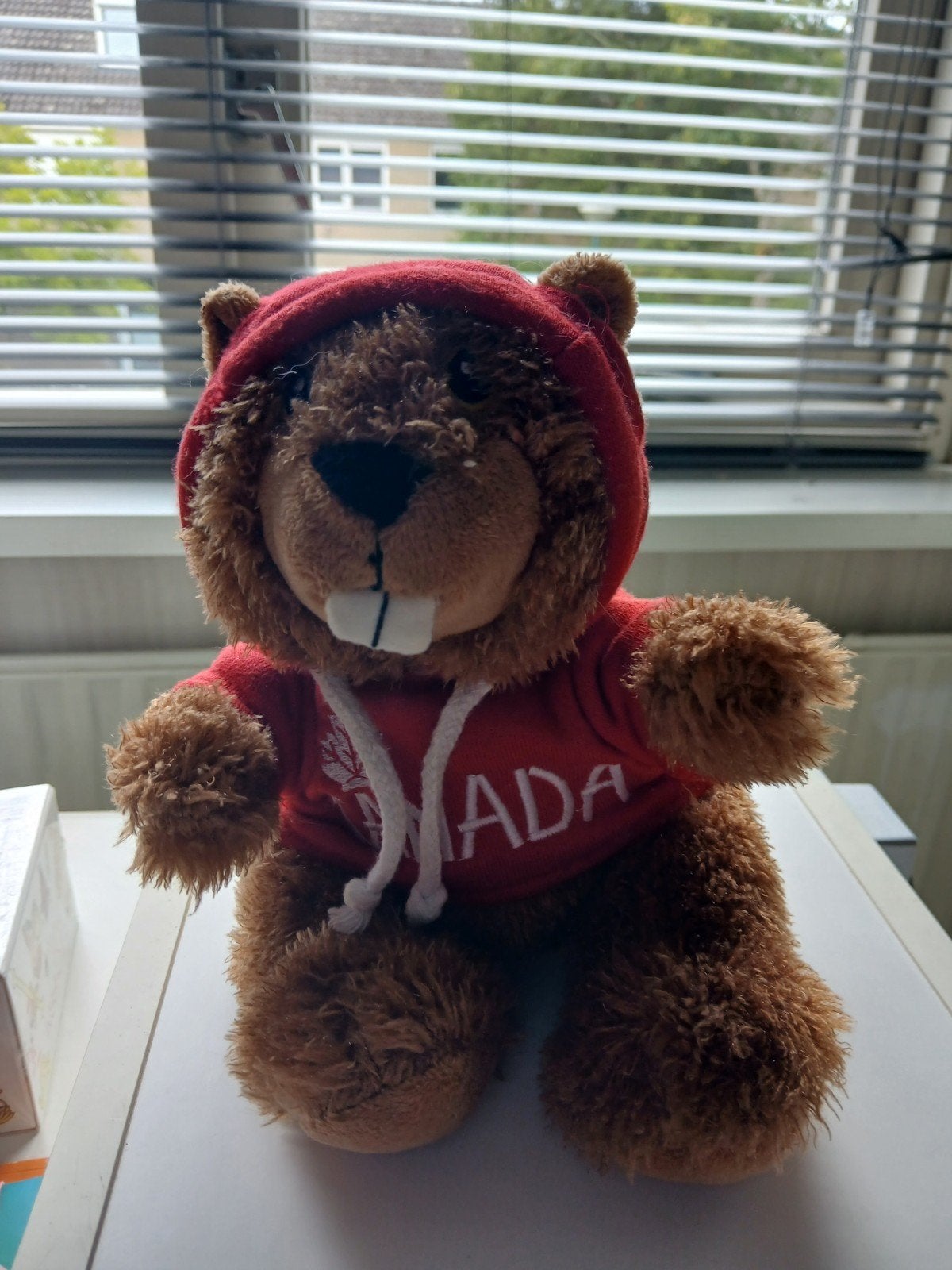 Canadese bever knuffel met hoodie, Overige karakters, Overige typen, Ophalen of Verzenden, Zo goed als nieuw