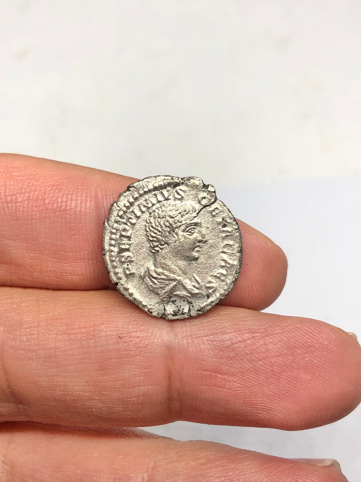 Romeinse munt, Geta Caesar (198-209 AD), Denarius 203-207 AD, Verzenden, Italië, Losse munt, Zilver