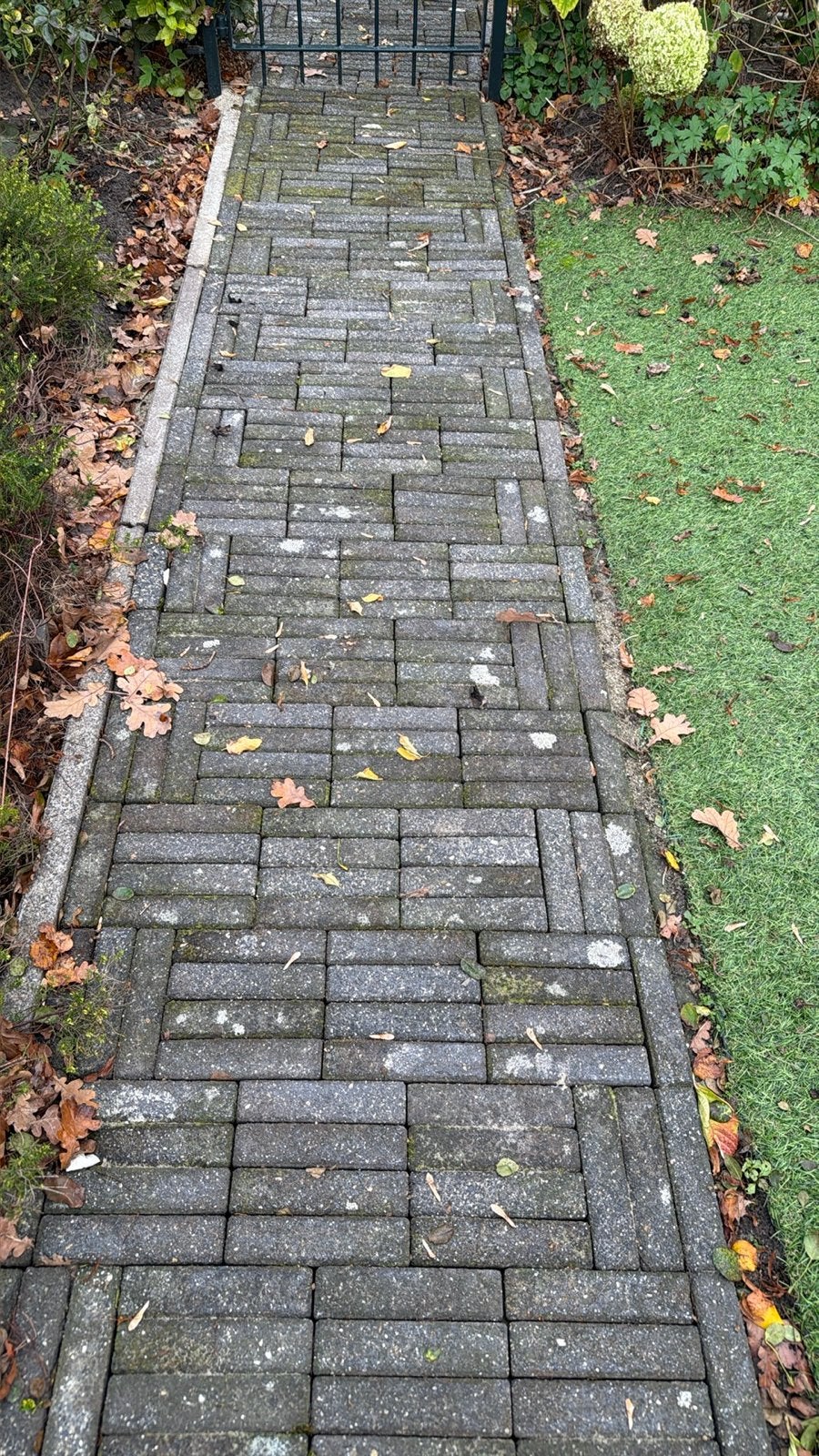 Gratis waaltjes, Ophalen of Verzenden, Gebruikt, 5 tot 10 m²