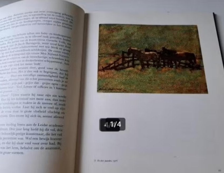 Kunstboek - Anna Wagner - Sierk Schröder, Ophalen of Verzenden, Gelezen