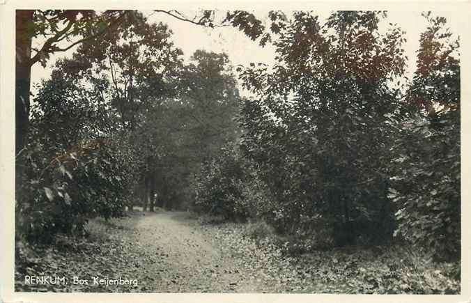 301-304-013 Renkum Bos Keijenberg, Verzamelen, Verzenden, Voor 1920, Gelderland