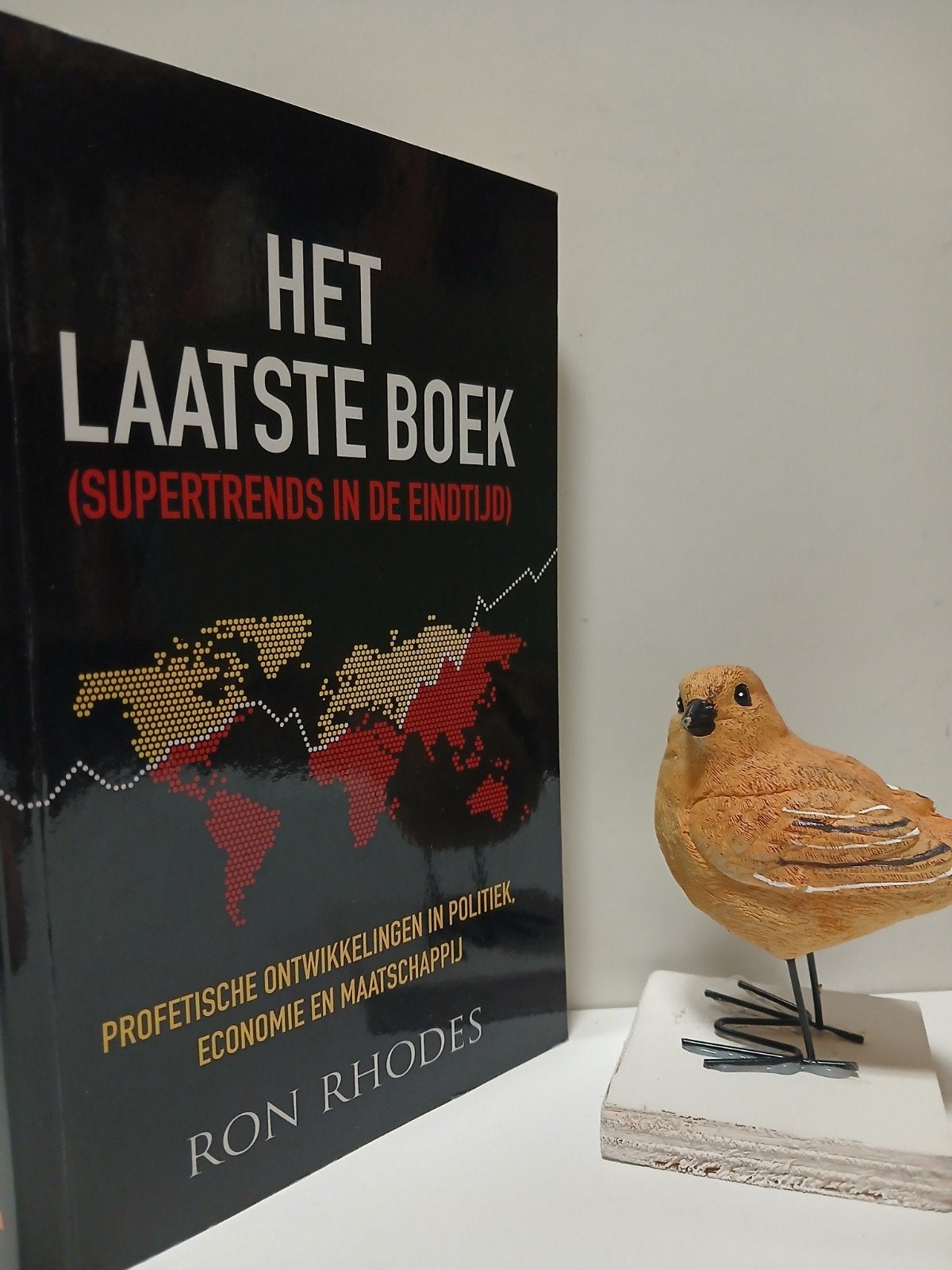 Rhodes, Ron; Het laatste boek, Ophalen of Verzenden, Gelezen, Christendom | Protestants