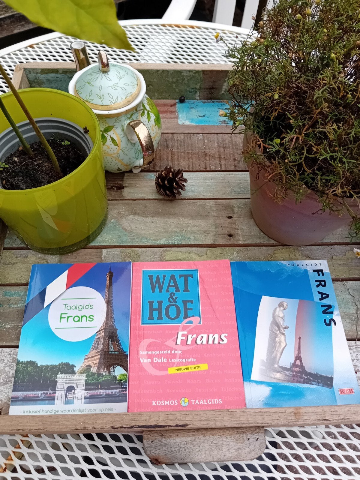 Franse Taalgidsen - Leer Frans met deze handige boeken, Ophalen of Verzenden, Zo goed als nieuw, Diverse auteurs, Non-fictie