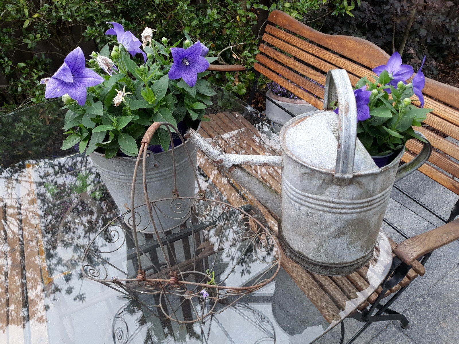 VintageZink: emmers, grote gieter, bak en ander leuk spul, Tuin en Terras, Ophalen of Verzenden
