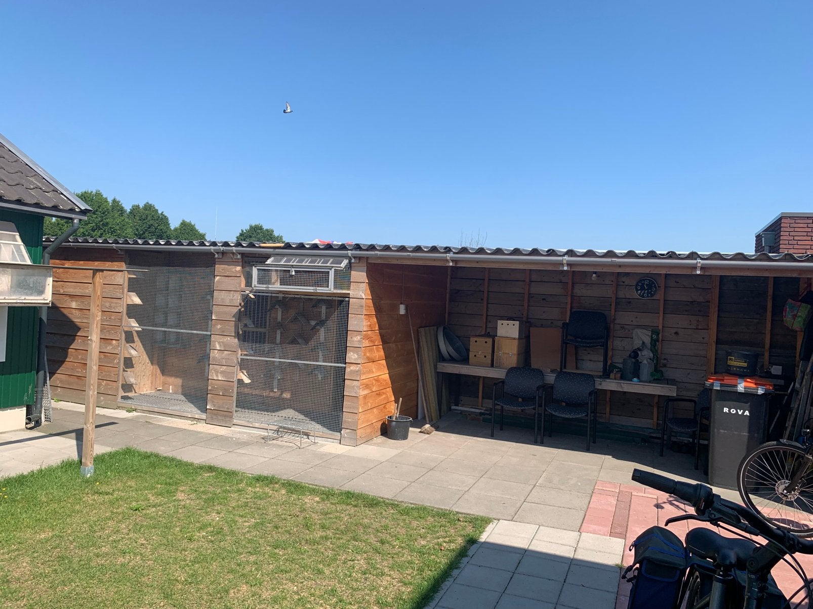 Duivenhok met overkapping, Dieren en Toebehoren, Mannelijk, Postduif