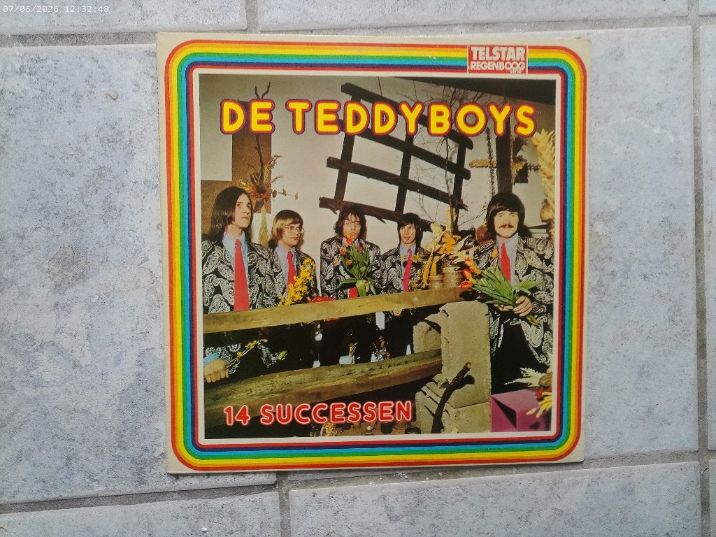 LP de Teddyboys - 14 successen, Gebruikt, Ophalen of Verzenden, 1970 - 1979, Levenslied of Smartlap