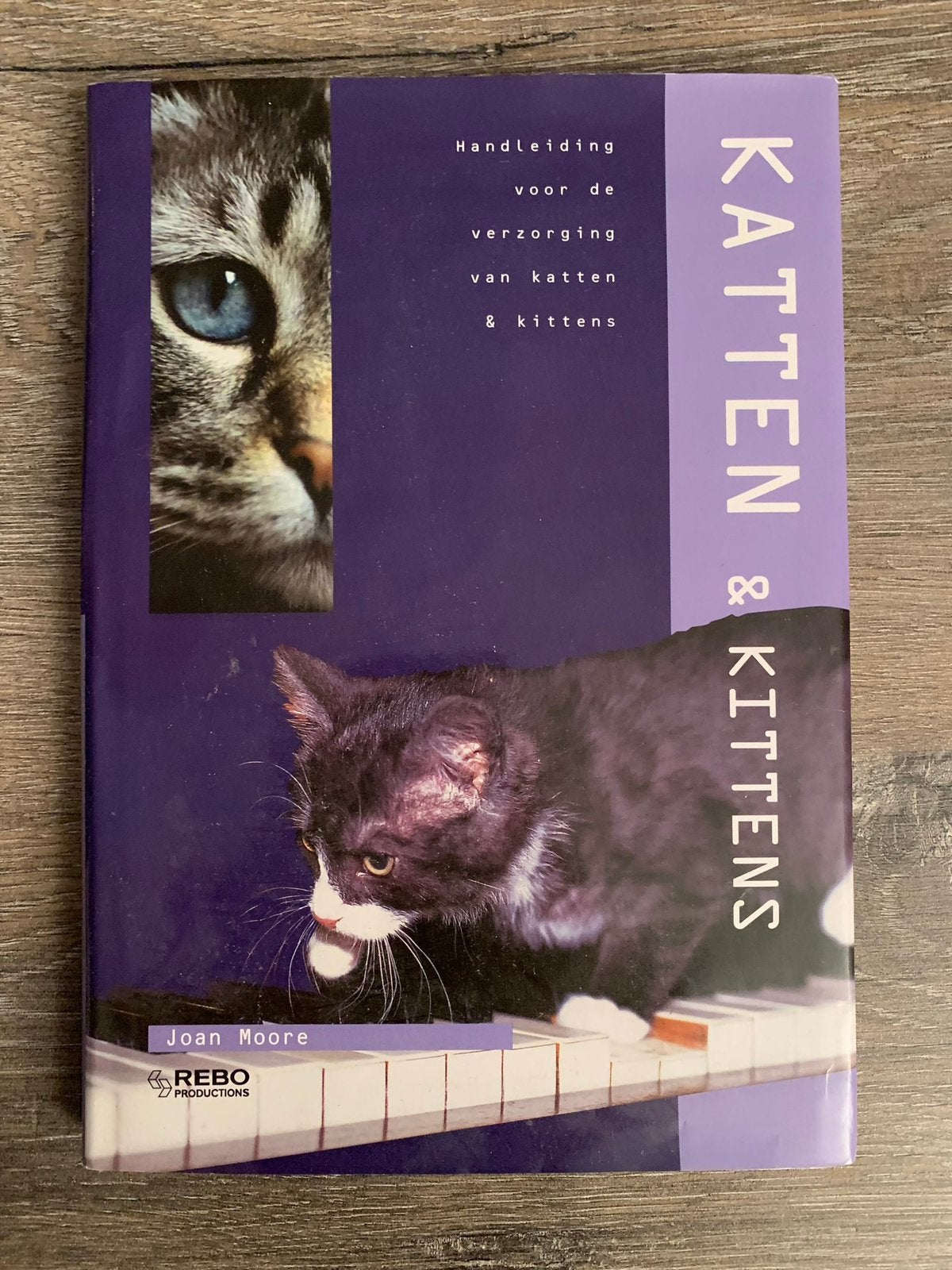 Katten & Kittens Verzorgingsgids - Essentiële Handleiding, Ophalen of Verzenden, Zo goed als nieuw, Katten