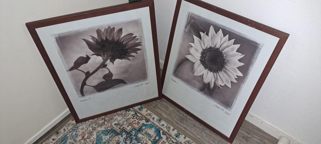 Mooie fotoplaten/ schilderijen van zonnebloem, Ophalen, Hout, Minder dan 50 cm, Minder dan 50 cm